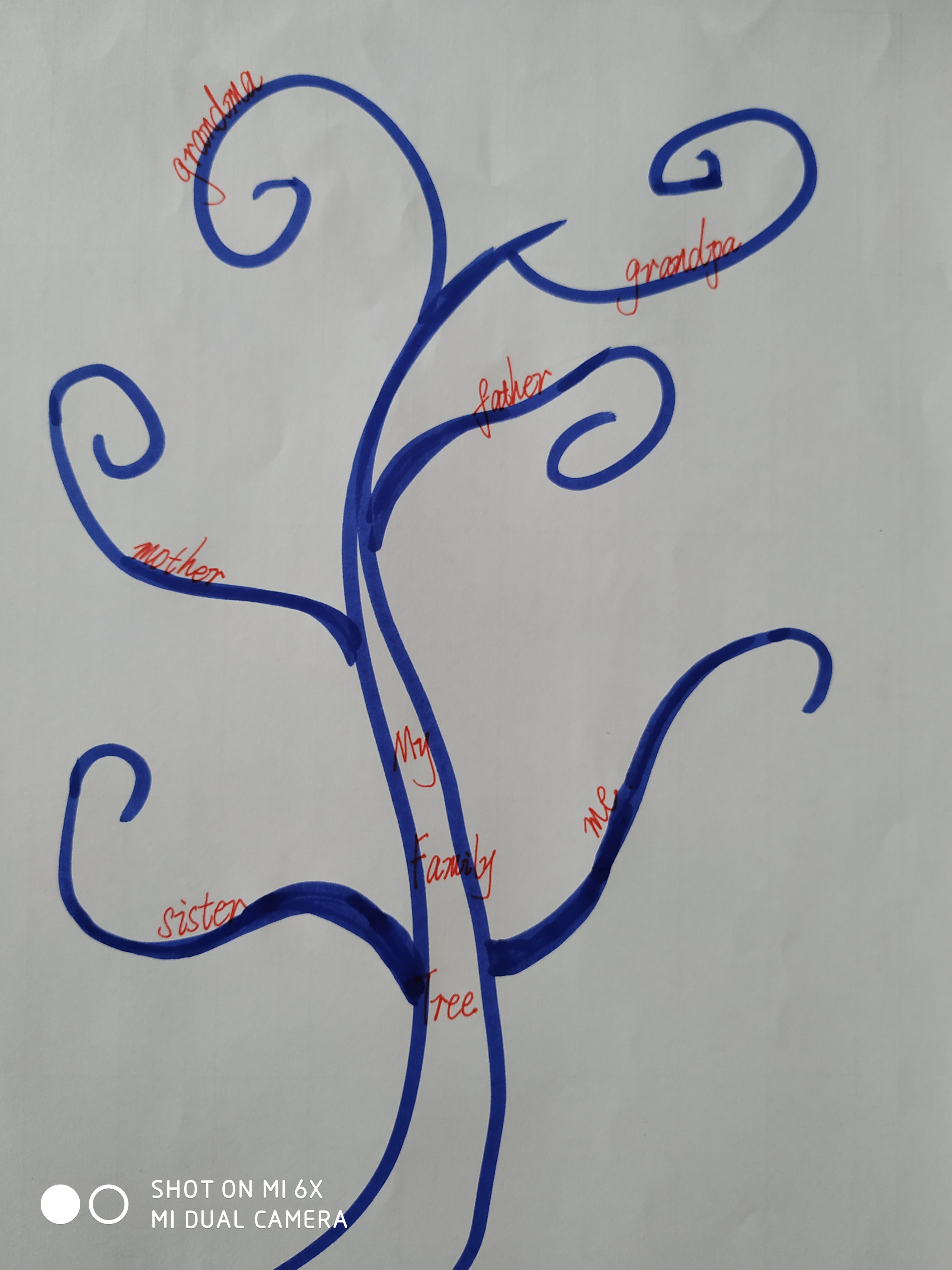 使用思维导图制作家庭树,便于学生疏导整理记忆已学的家庭关系单词.