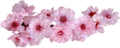 2018年上半年浙江省中小学教师专业发展培训拉开了帷幕,我们又相约在