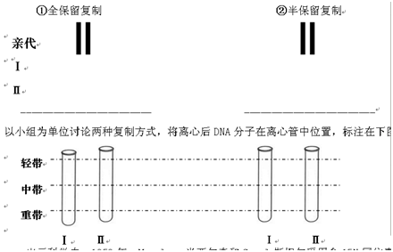 3dna的複製