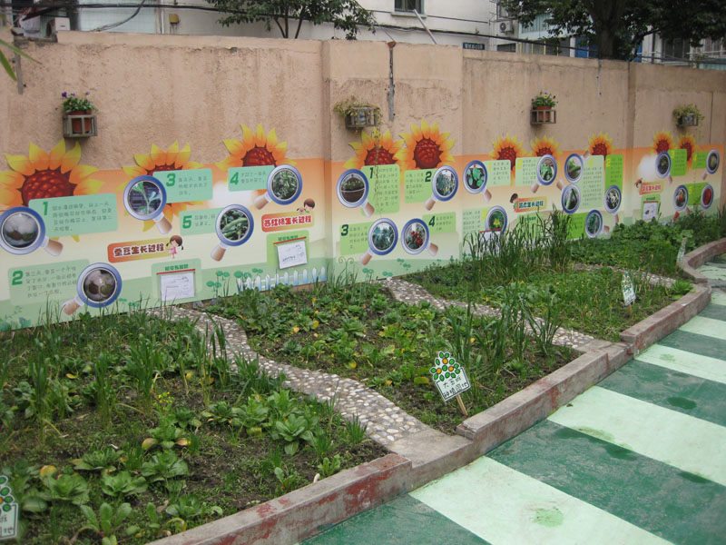 摘錄:《開展幼兒園種植區活動的小策略》